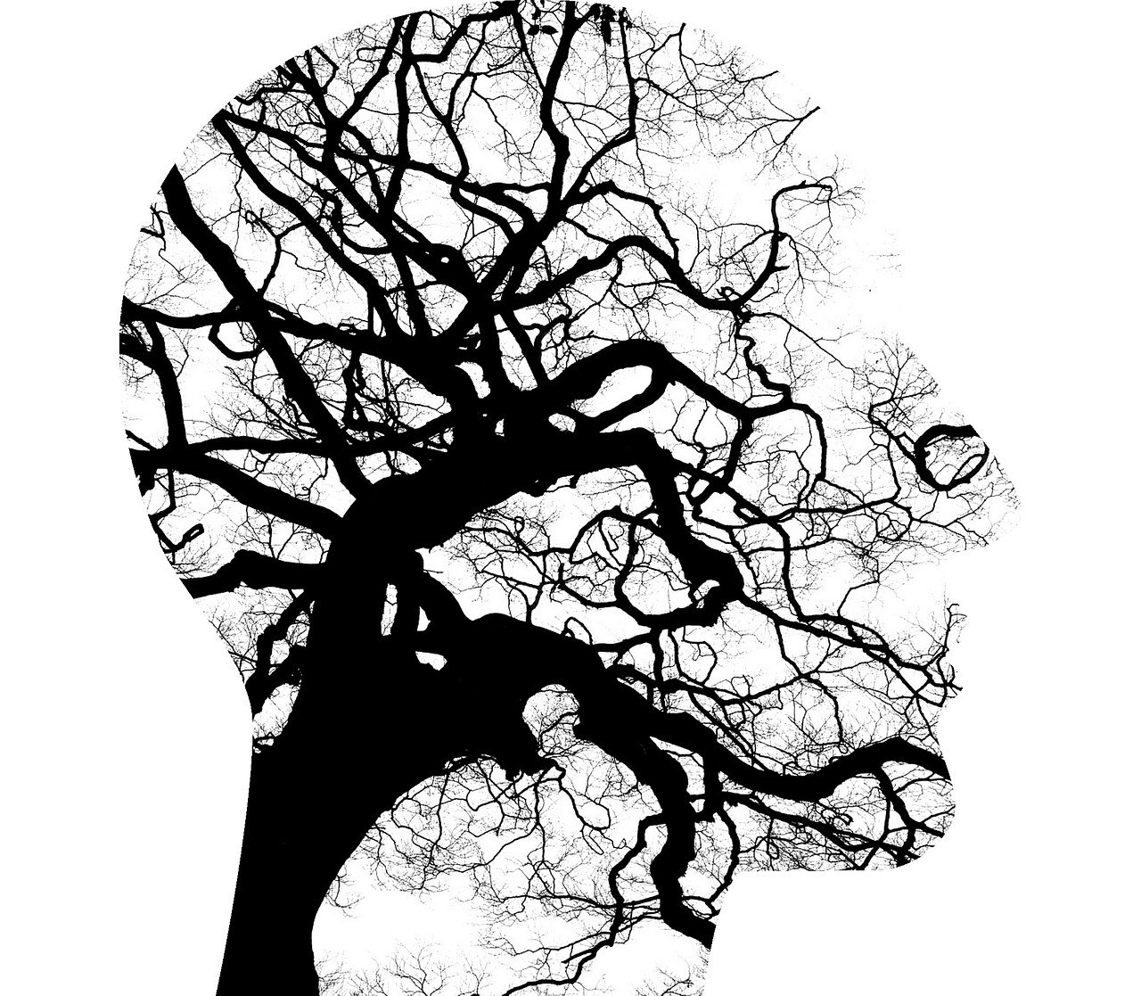 Profil d'une tête dessiné par les branches d'un arbre, métaphore de la santé mentale au travail